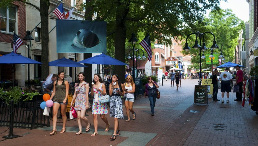 People walking through Virginia downtown district related to sweepstakes discussions
